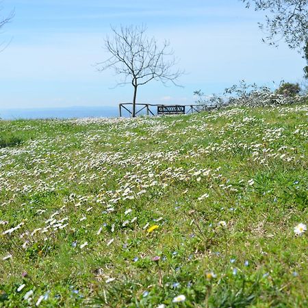 Casa Franceschini Villa Poggio Mirteto Eksteriør billede