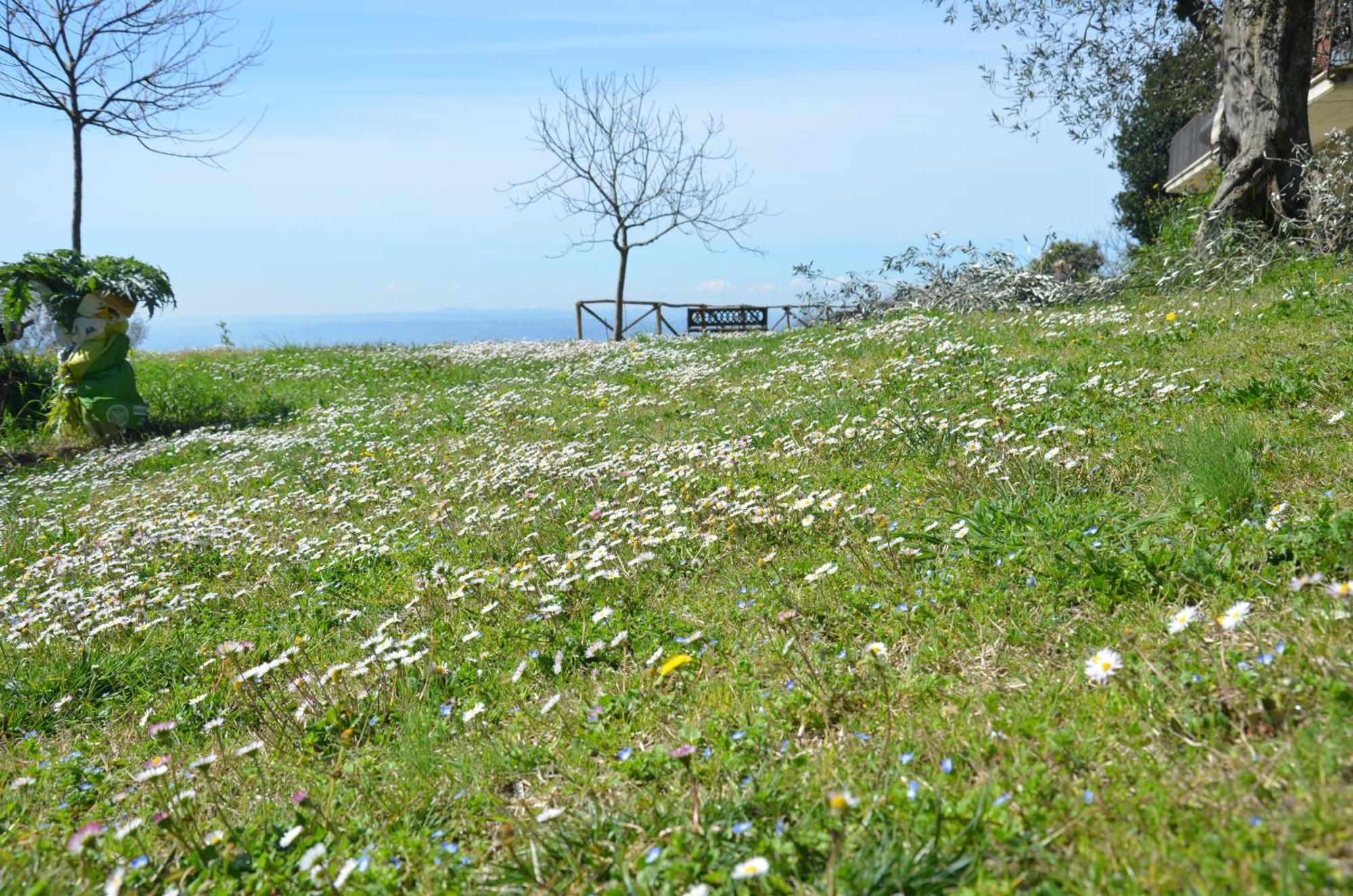 Casa Franceschini Villa Poggio Mirteto Eksteriør billede