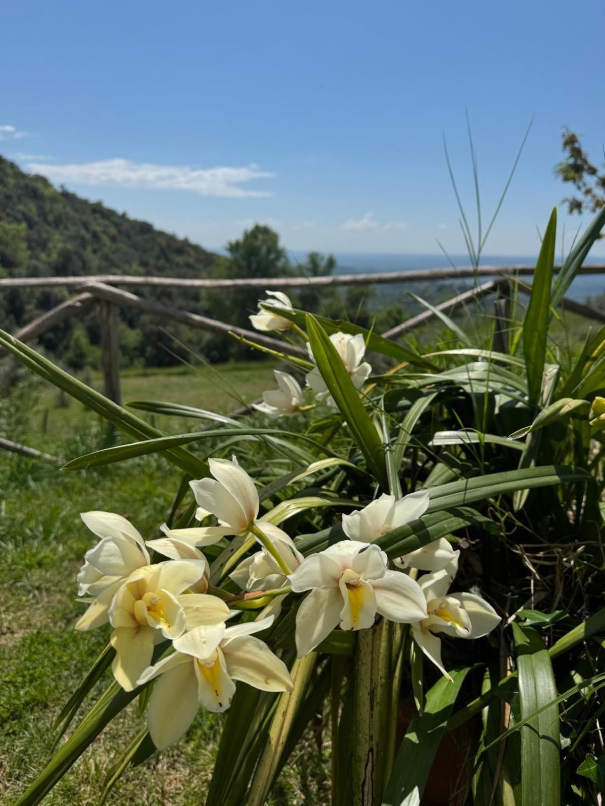 Casa Franceschini Villa Poggio Mirteto Eksteriør billede